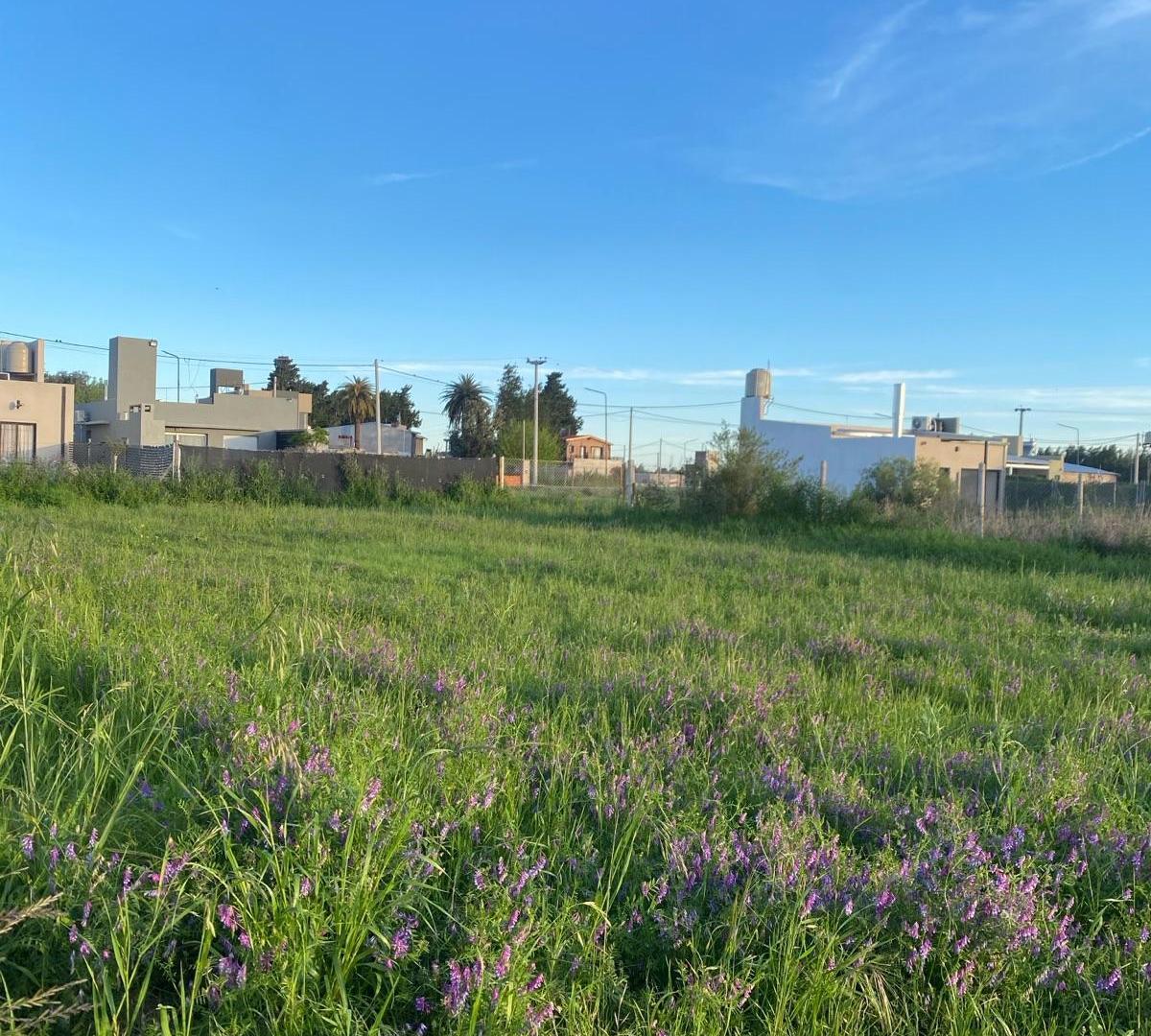 Foto de TERRENO DE 300 m2, CON MUCHO POTENCIAL EN PUEBLO ESTHER, imagen 1