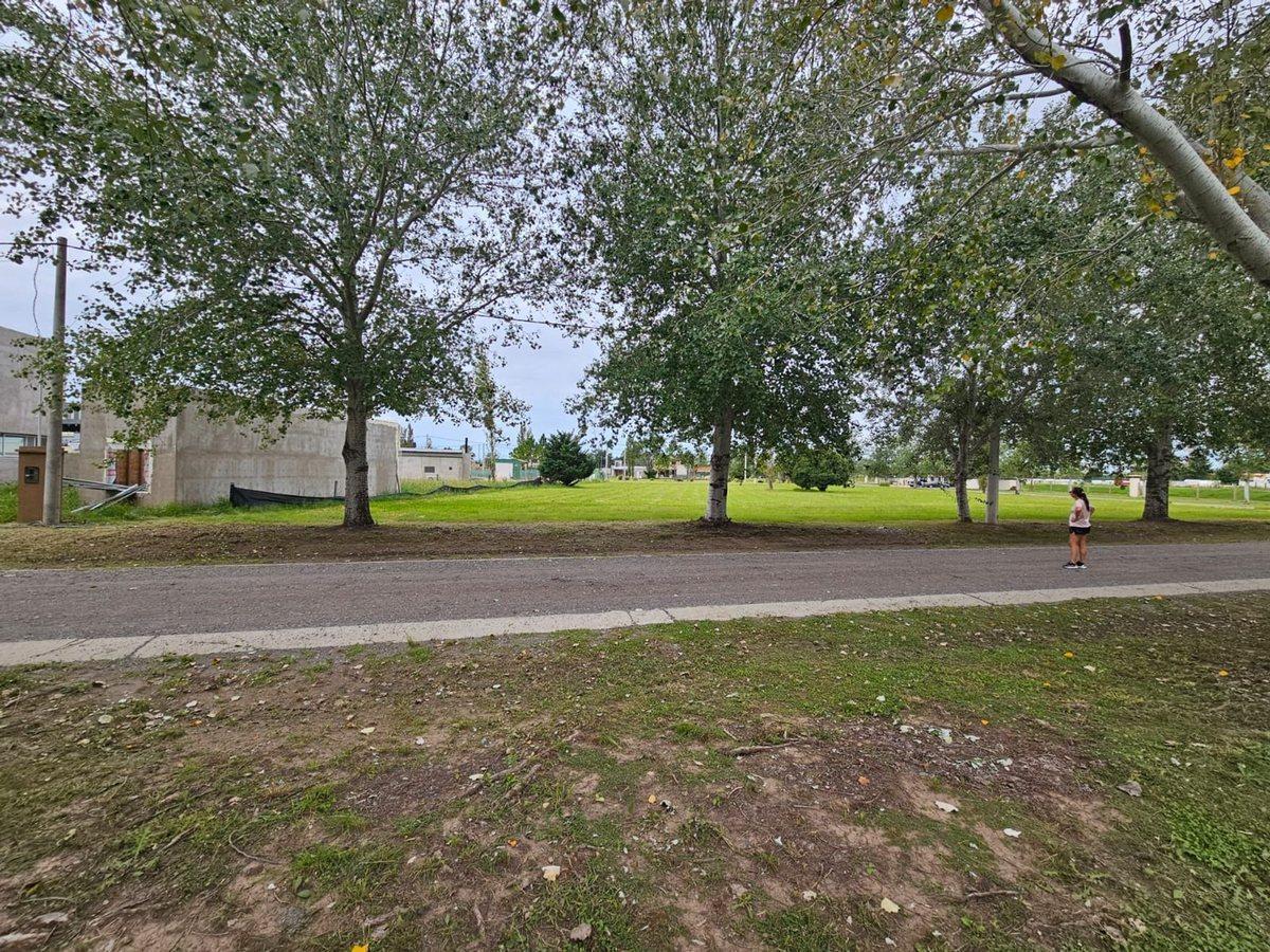 Foto de VENTA LOTE DE 1000 M2 EN PINARES DEL SUR PIÑERO, imagen 4