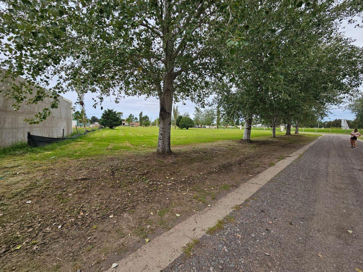 Foto de VENTA LOTE DE 1000 M2 EN PINARES DEL SUR PIÑERO, imagen 3