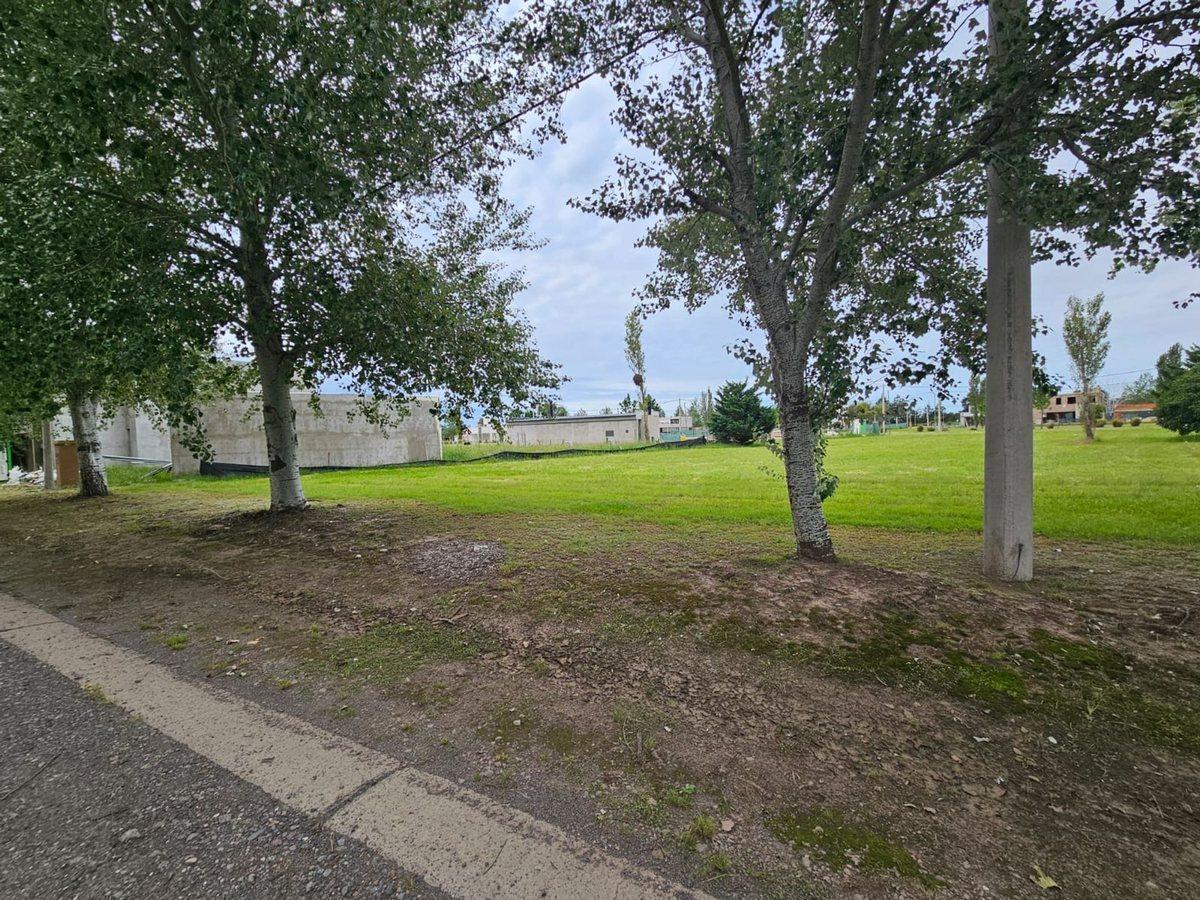 Foto de VENTA LOTE DE 1000 M2 EN PINARES DEL SUR PIÑERO, imagen 2
