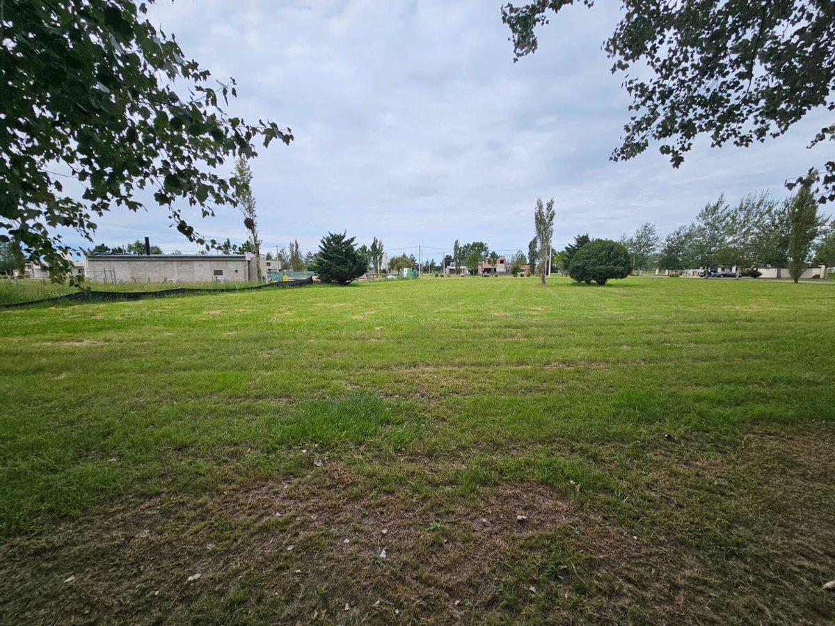 Foto de VENTA LOTE DE 1000 M2 EN PINARES DEL SUR PIÑERO, imagen 1