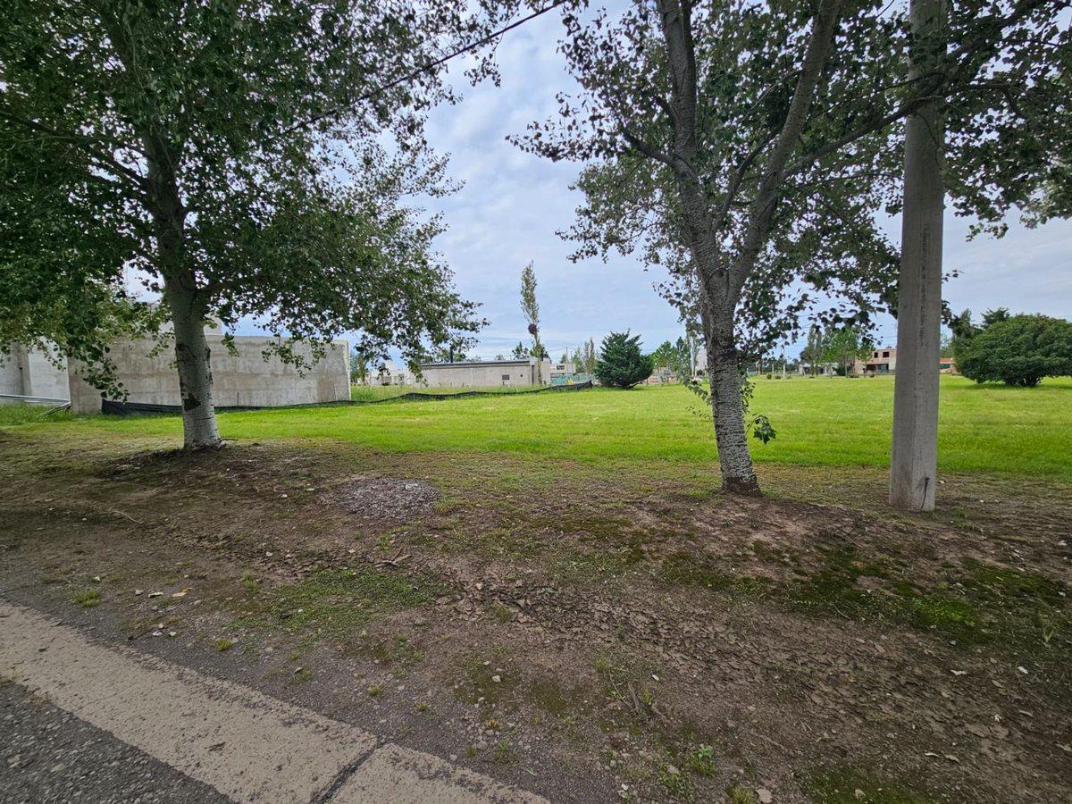 Foto de VENTA LOTE DE 1000 M2 EN PINARES DEL SUR PIÑERO, imagen 5