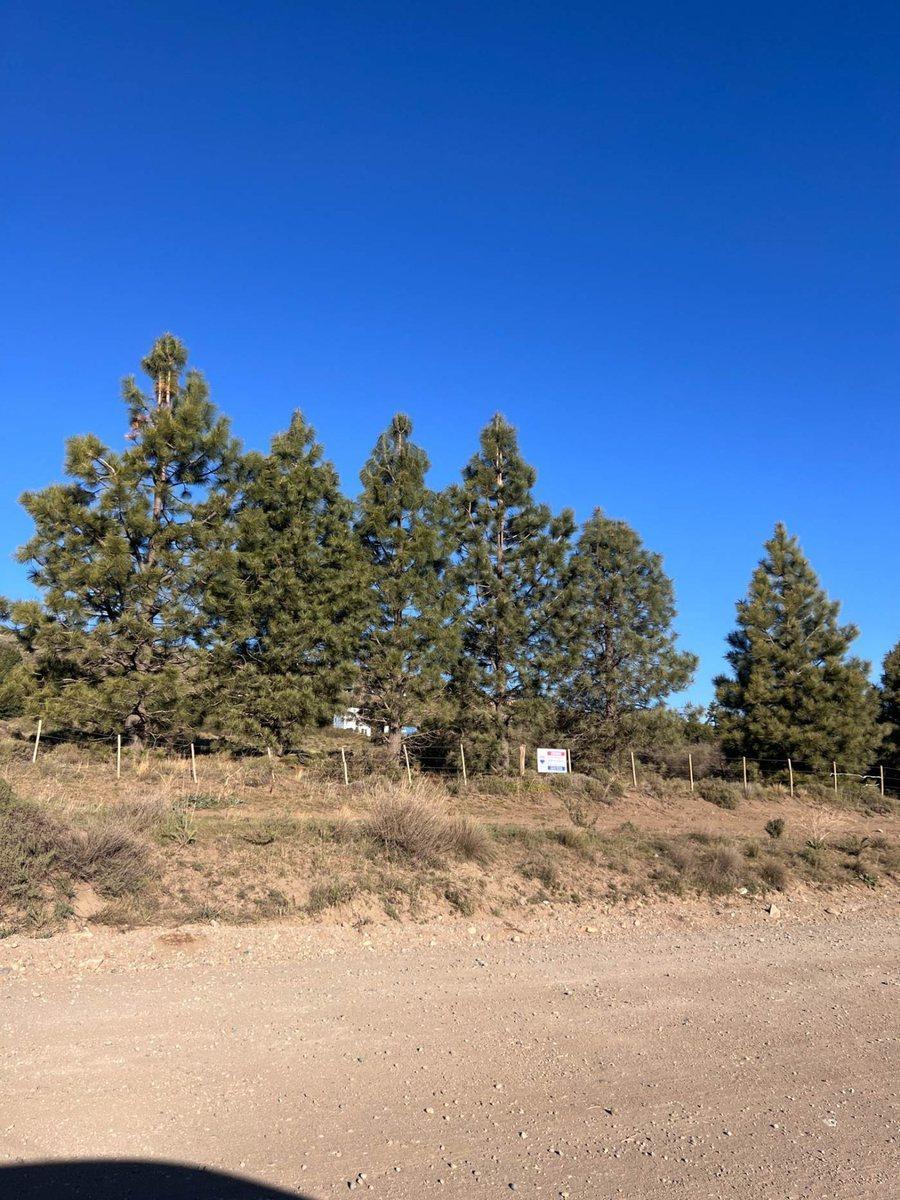 Venta Lote en PH 3112 m² Ñirihuau Dina Huapi 2