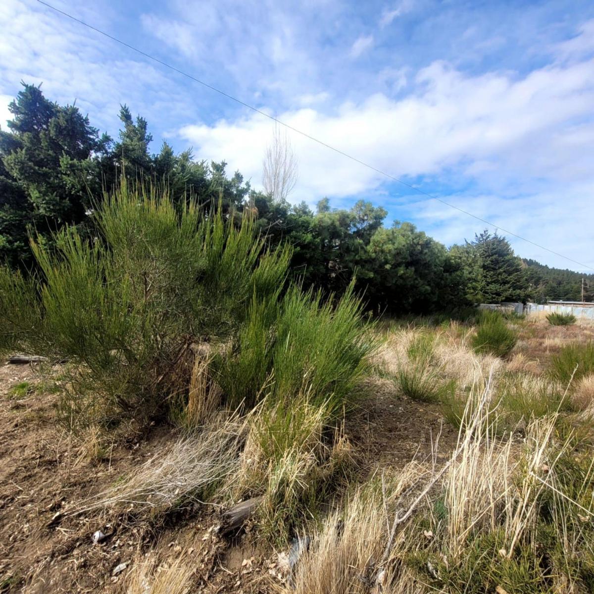 Lote en Dina Huapi - Barrio Dina Hue 4