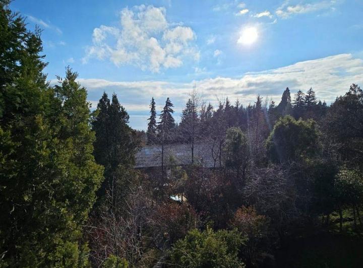 Departamento a estrenar en alquiler en Bariloche 5