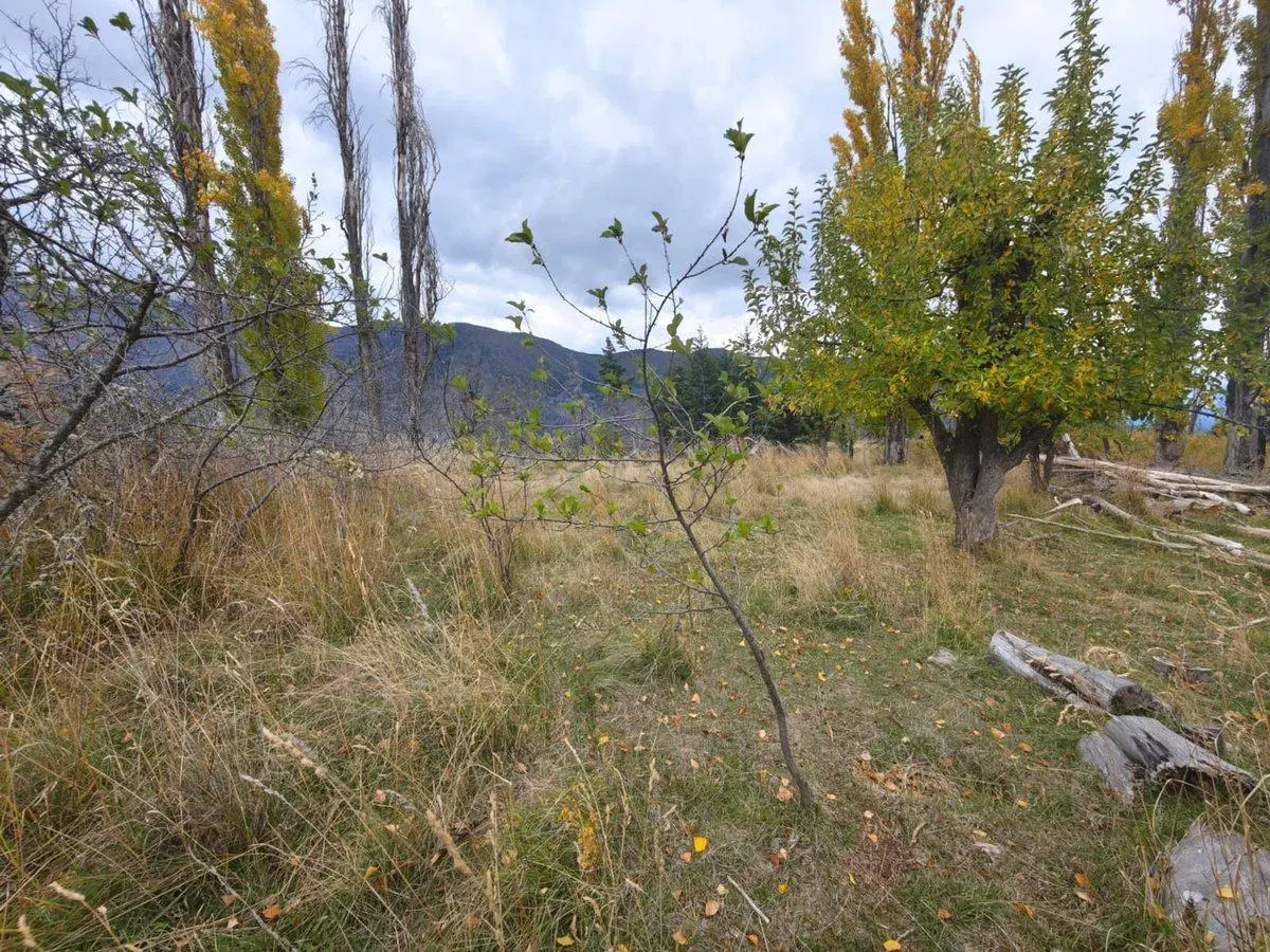 Campo en Venta en Cuesta del Ternero 4