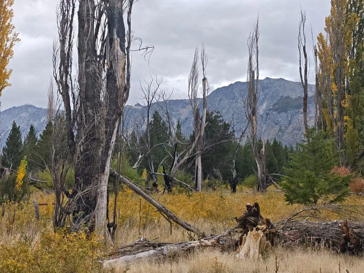 Campo en Venta en Cuesta del Ternero 5