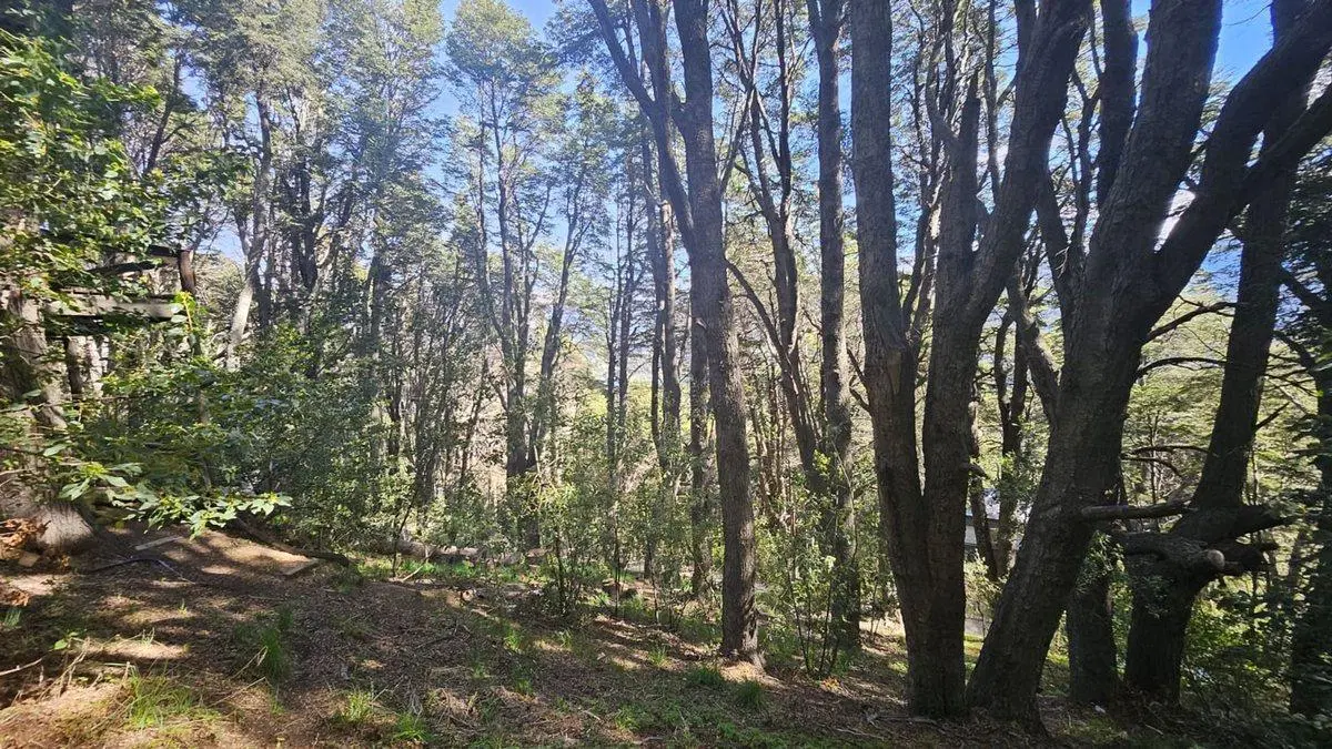 Lote con vista parcial salida a dos calles 3