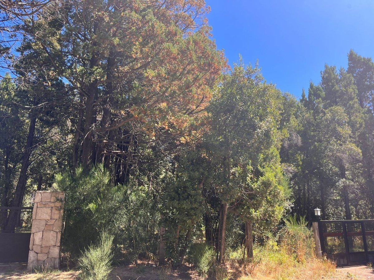 VENTA LOTE PLANO