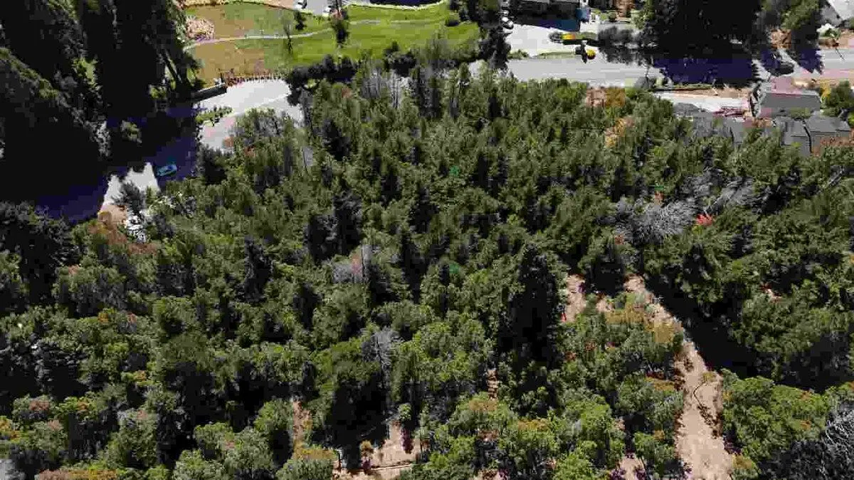 Venta 2 Lotes Vista Lago Inversión Bustillo km7 3