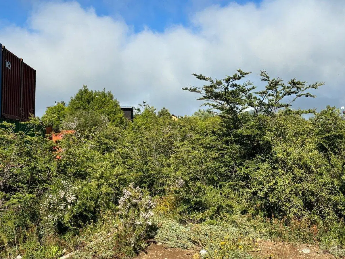 lote 625 M2 Lomas del Cauquen 3
