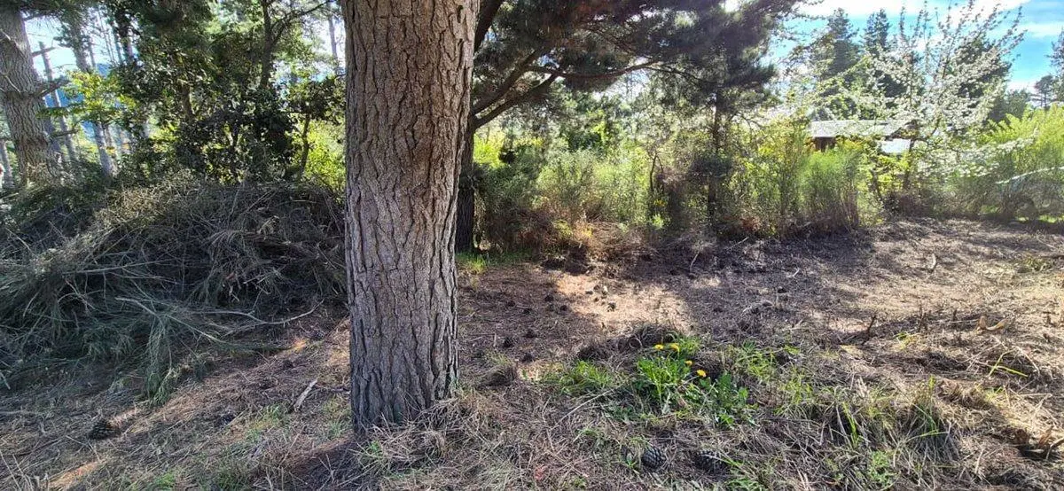 Venta de Lote Av Campanario Peninsula, Bariloche 5