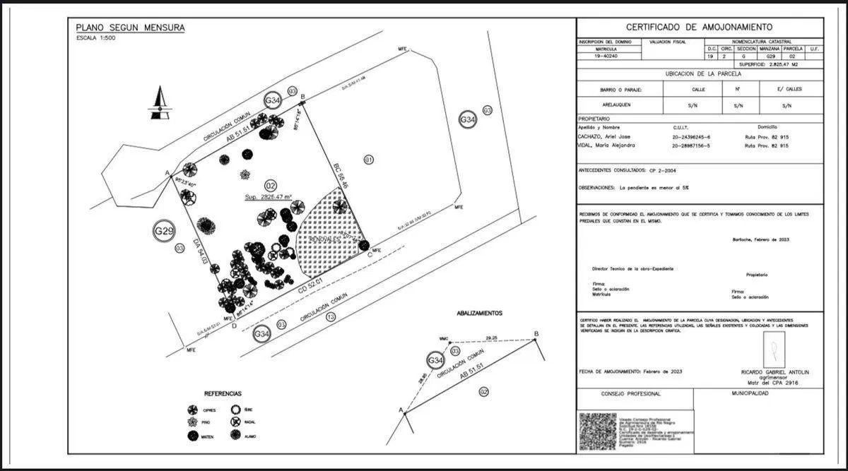 Plano 1