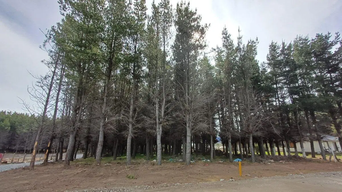 Lote en PH en DINA HUAPI con Planos aprobados 4