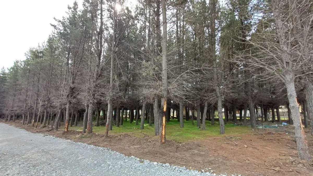 Lote en PH en DINA HUAPI con Planos aprobados 2