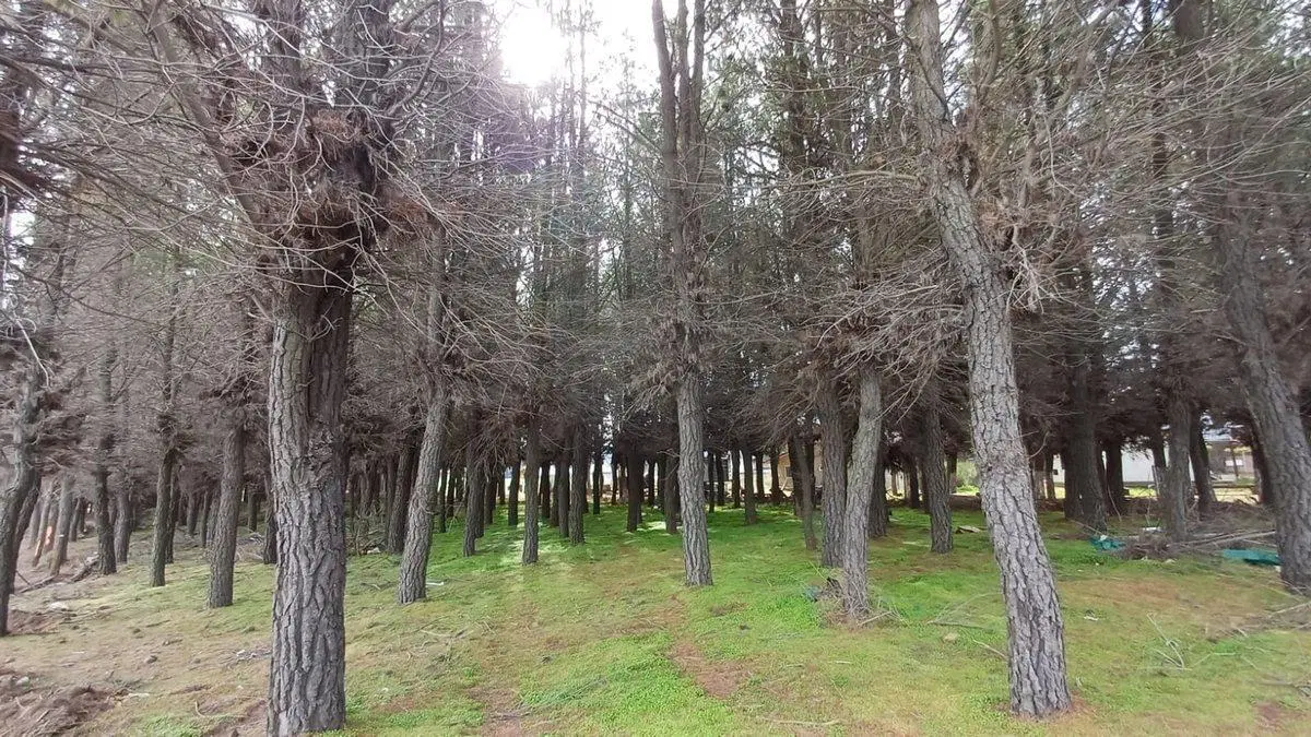 Lote en PH en DINA HUAPI con Planos aprobados 5