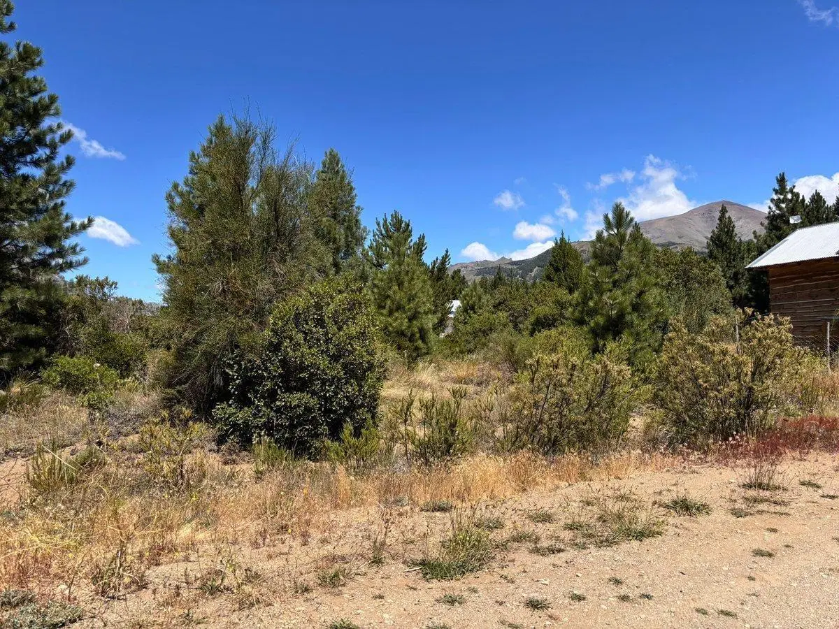 Lote en venta Mirador del Callhuaco 300 metros 3