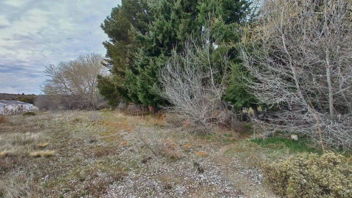 Alquiler Lote Hectárea Aeropuerto Bariloche 5