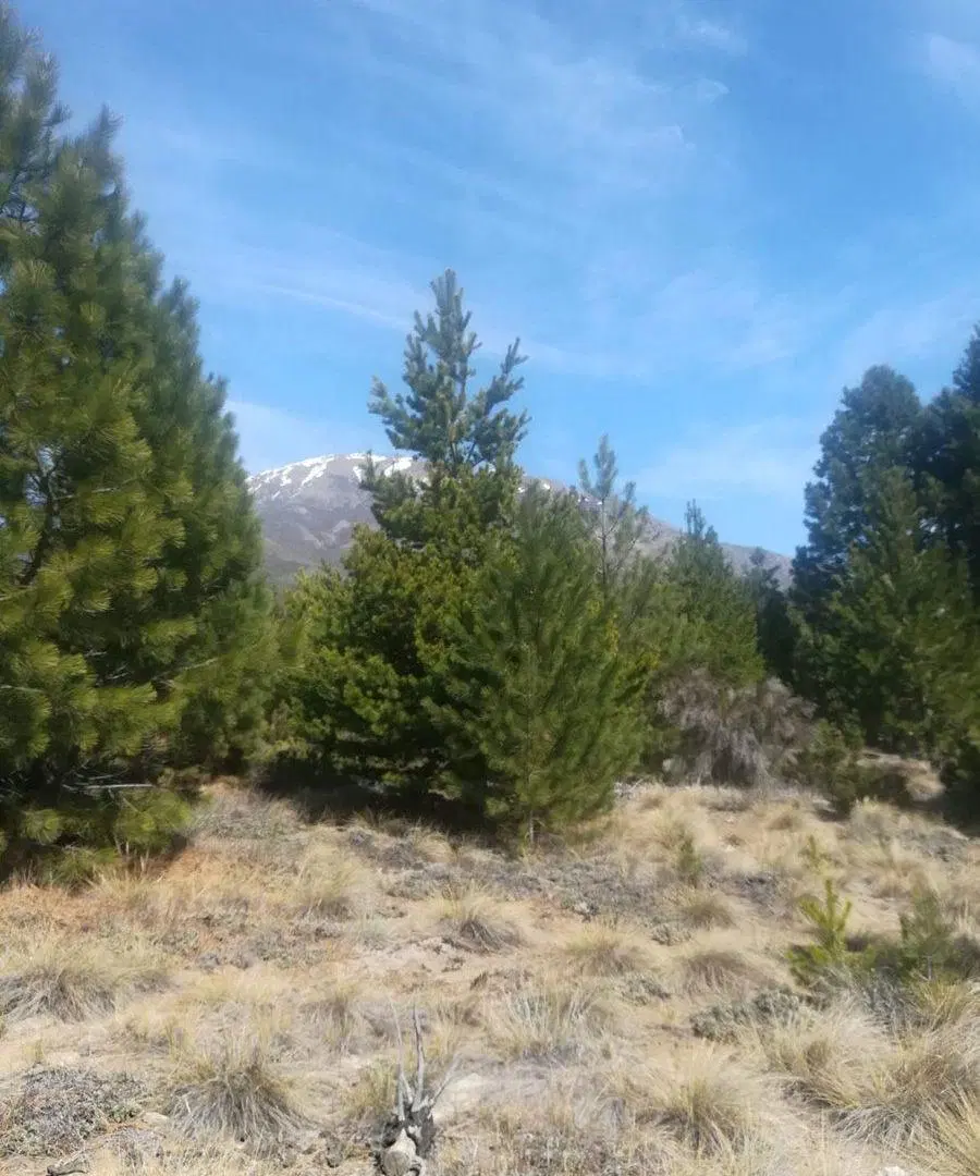 VENTA LOTE CLUB DE CAMPO DOS VALLES FINANCIADO 2
