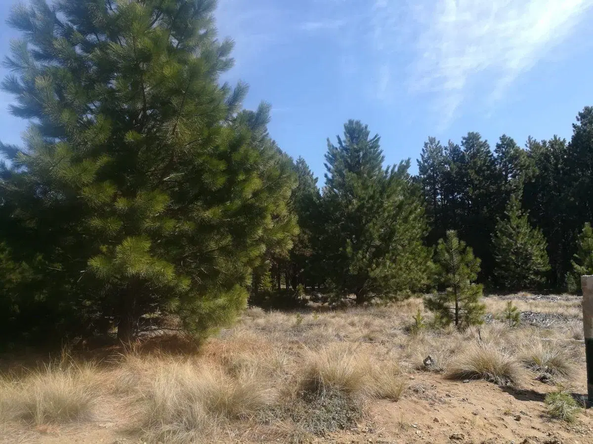 VENTA LOTE CLUB DE CAMPO DOS VALLES FINANCIADO 3