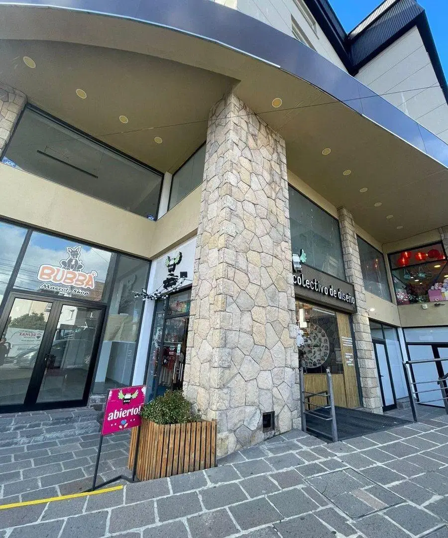 Local APTO COMERCIAL Y PROFESIONAL centro 8