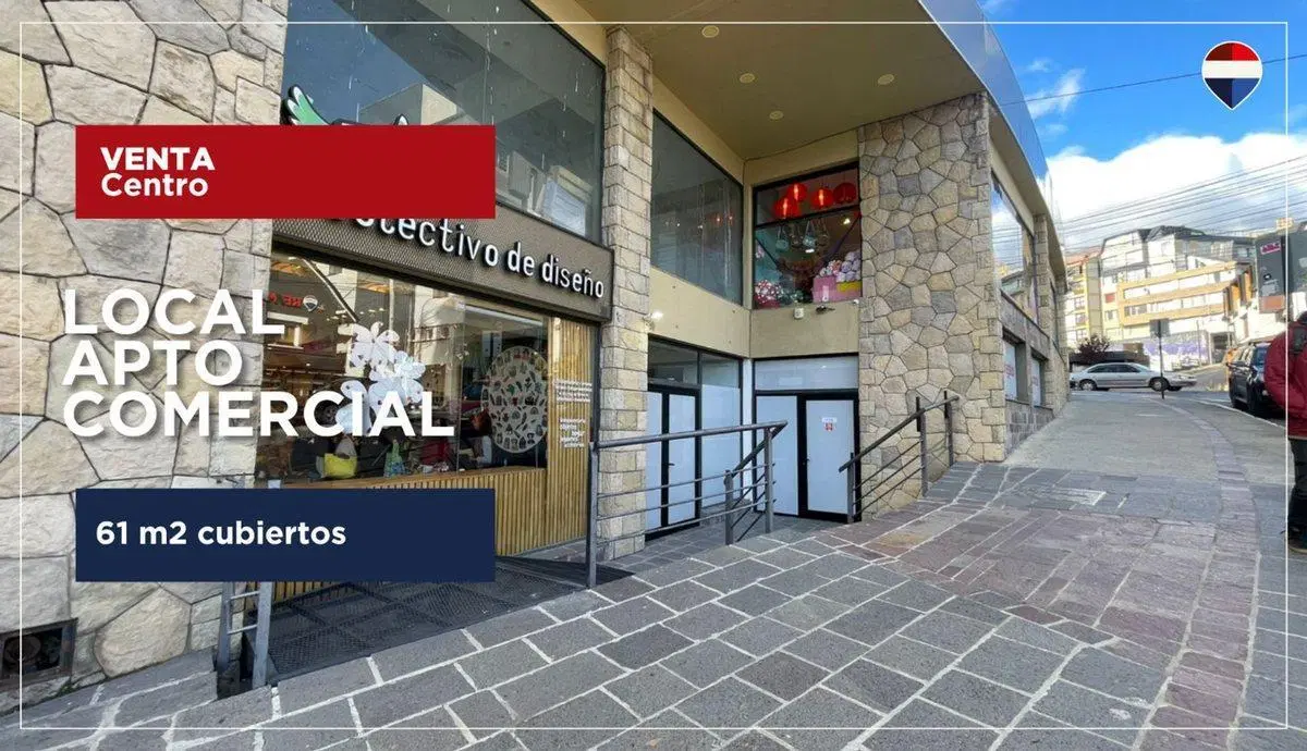 Local APTO COMERCIAL Y PROFESIONAL centro 4