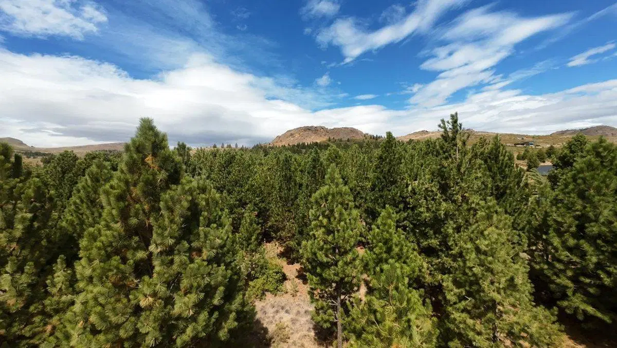 VENTA LOTE en Bº Girasoles del Limay Dina Huapi 4