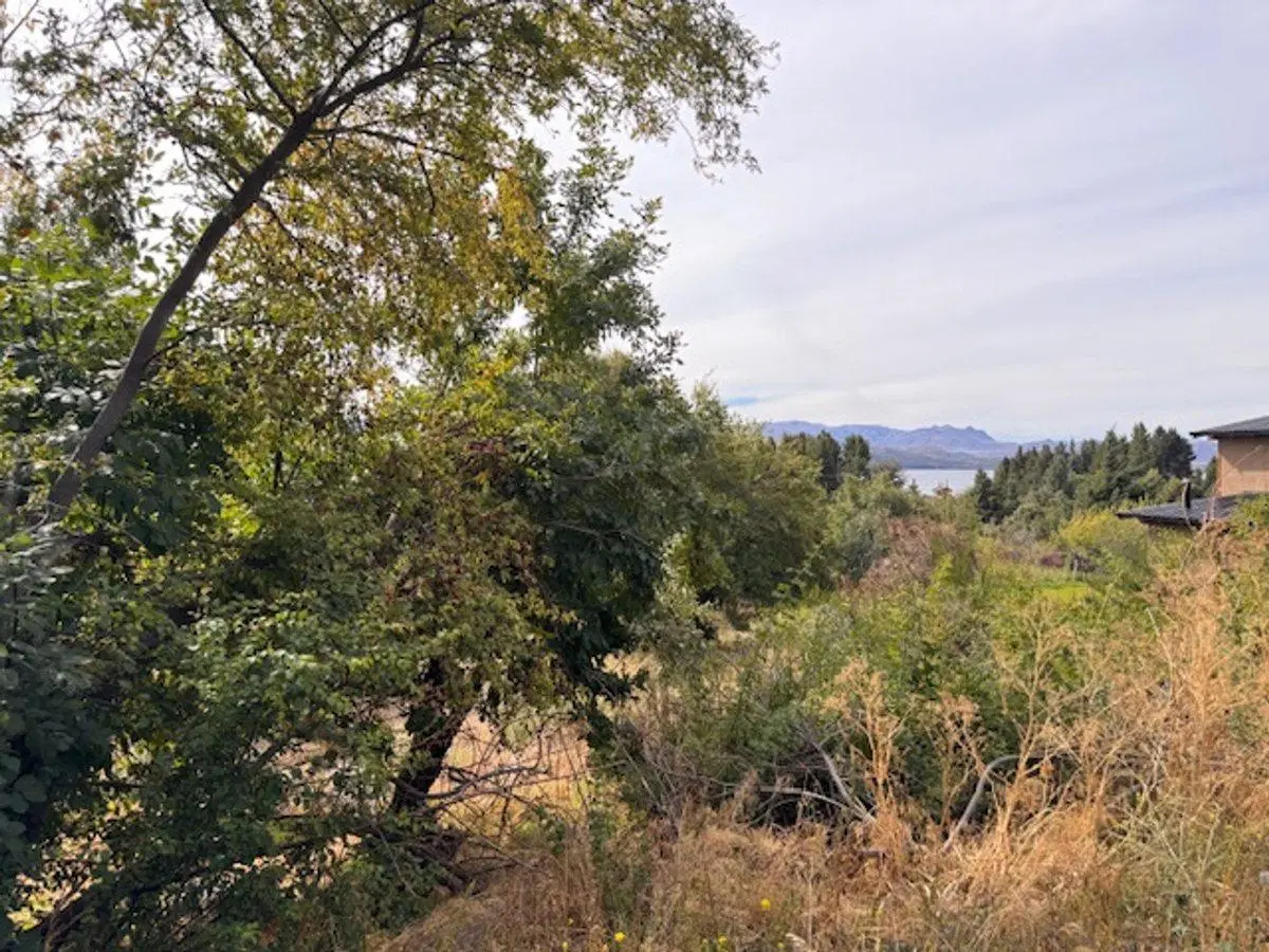 Lote con vista al lago en Bariloche Costa del Sol 4