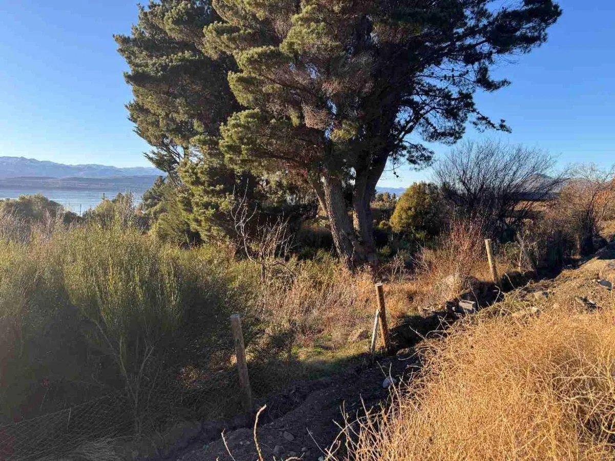 Lote con vista al lago en Bariloche Costa del Sol 3