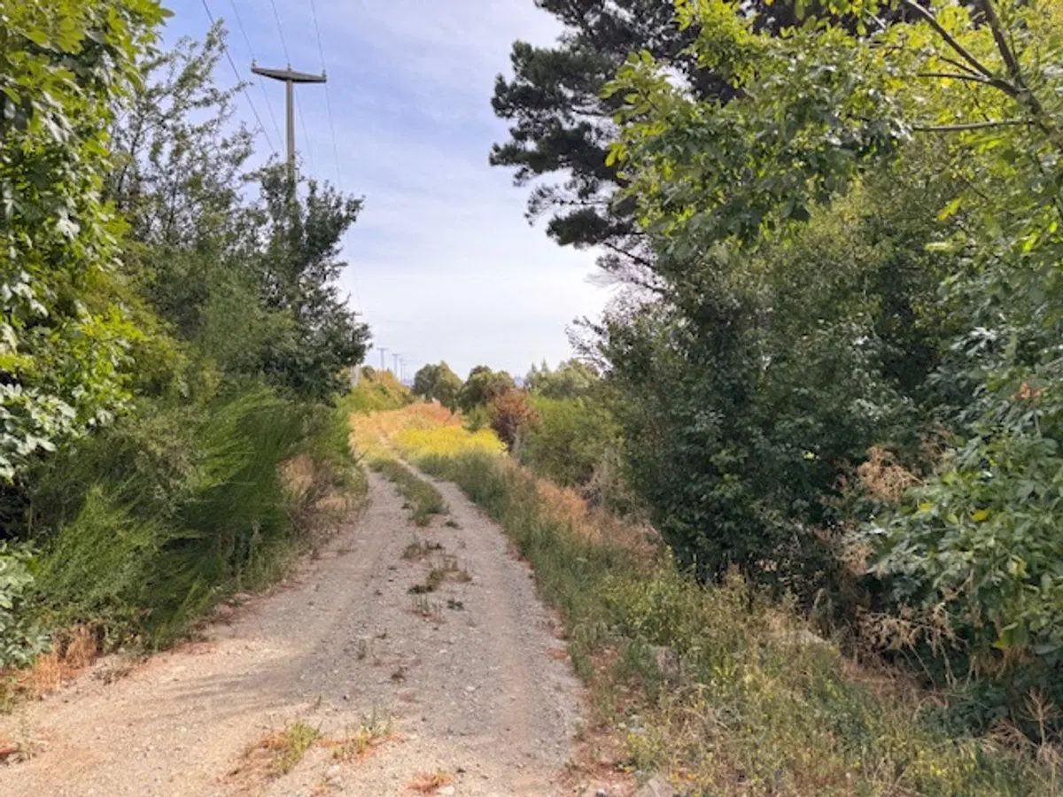 Lote con vista al lago en Bariloche Costa del Sol 5