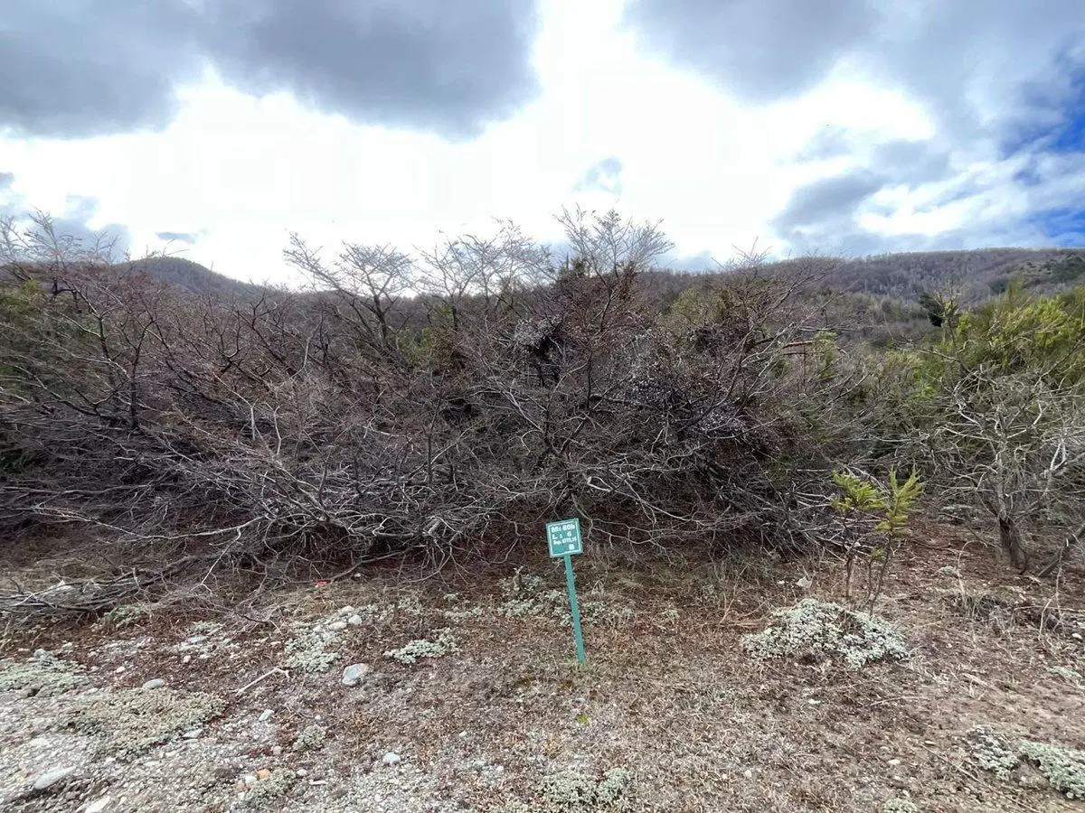 Lote zona Polo Arelauquen con vistas 2
