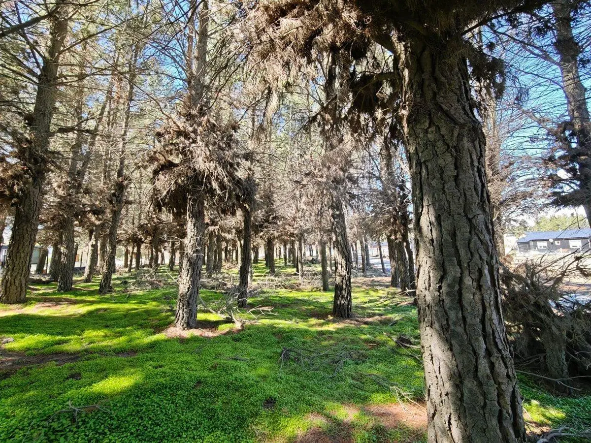 Lote en PH Venta Dina Huapi sup. 612 m2 Financiado 2