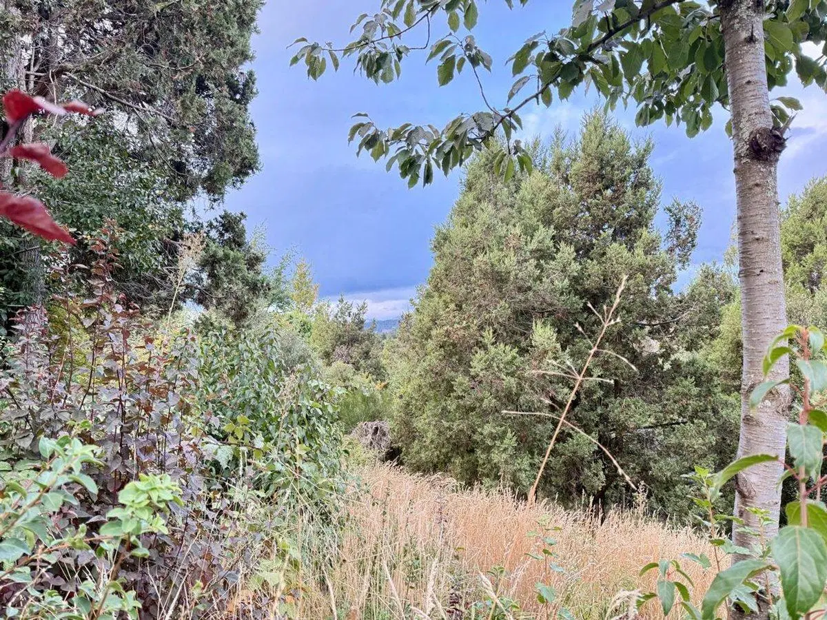 Lote Nahuel Malal orientacion norte 8