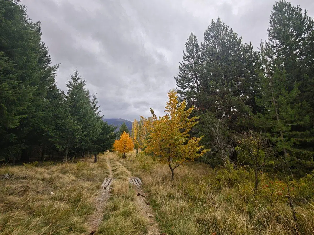 Campo en Venta en Cuesta del Ternero 2