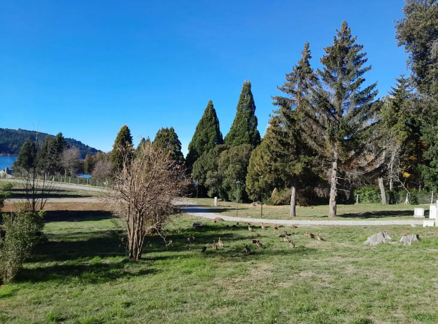 VENTA LOTE EN Bº CERRADO-COSTA DE LAGO - BARILOCHE 2