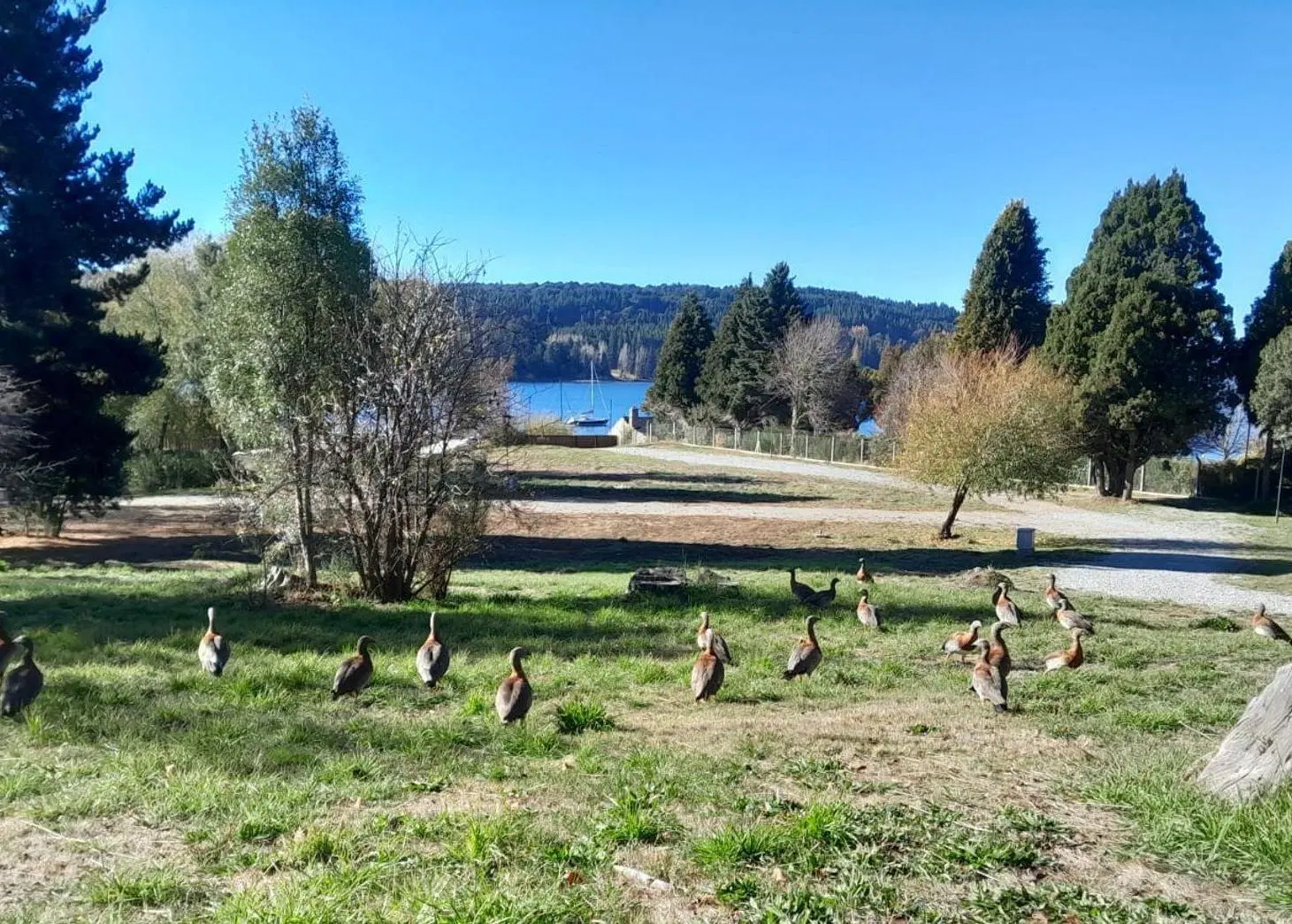 VENTA LOTE EN Bº CERRADO-COSTA DE LAGO - BARILOCHE 5
