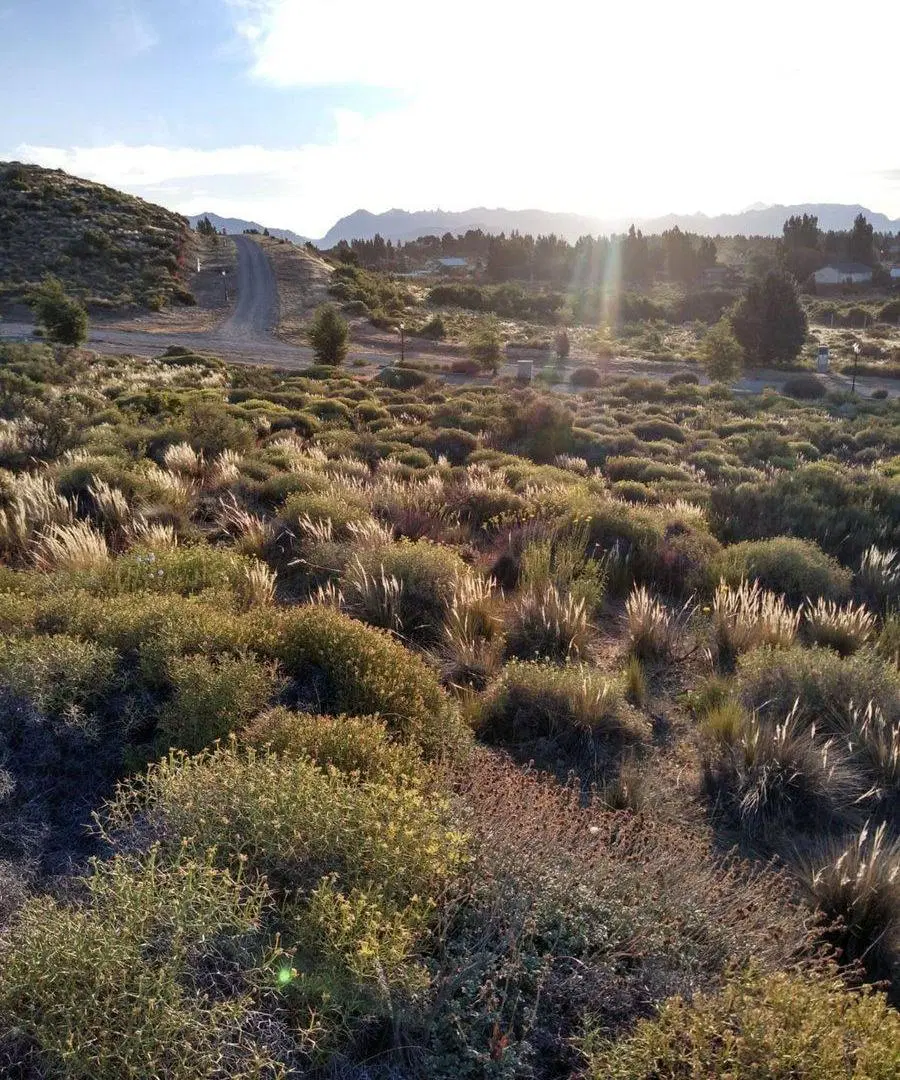 Barrancas de Dina Huapi 2