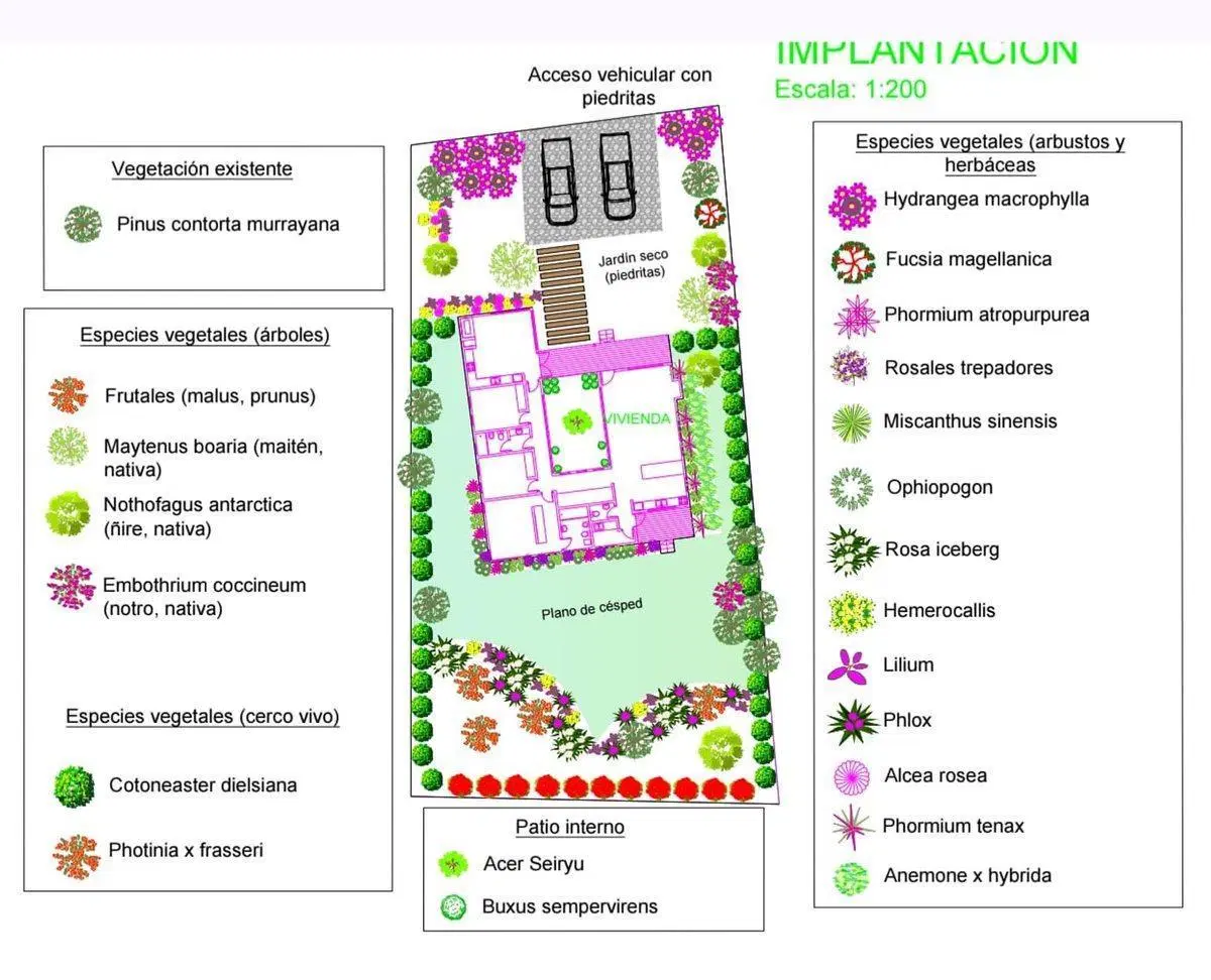 Plano 3