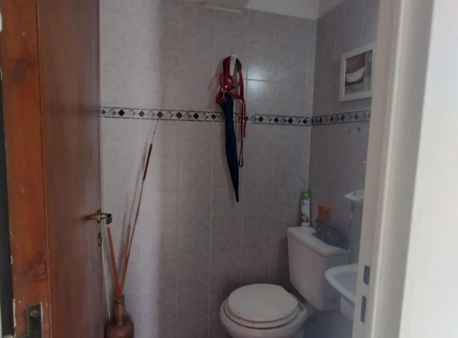 Departamento Escalonado en el Ñireco 3