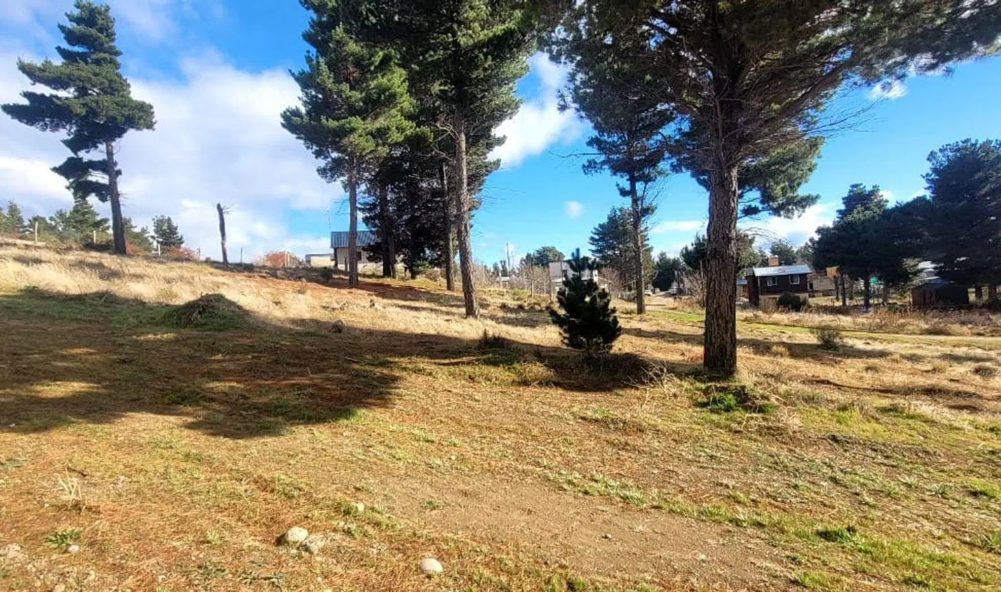 Loteo (Nogales y Petunias) Dina Huapi – Dina Hue 5