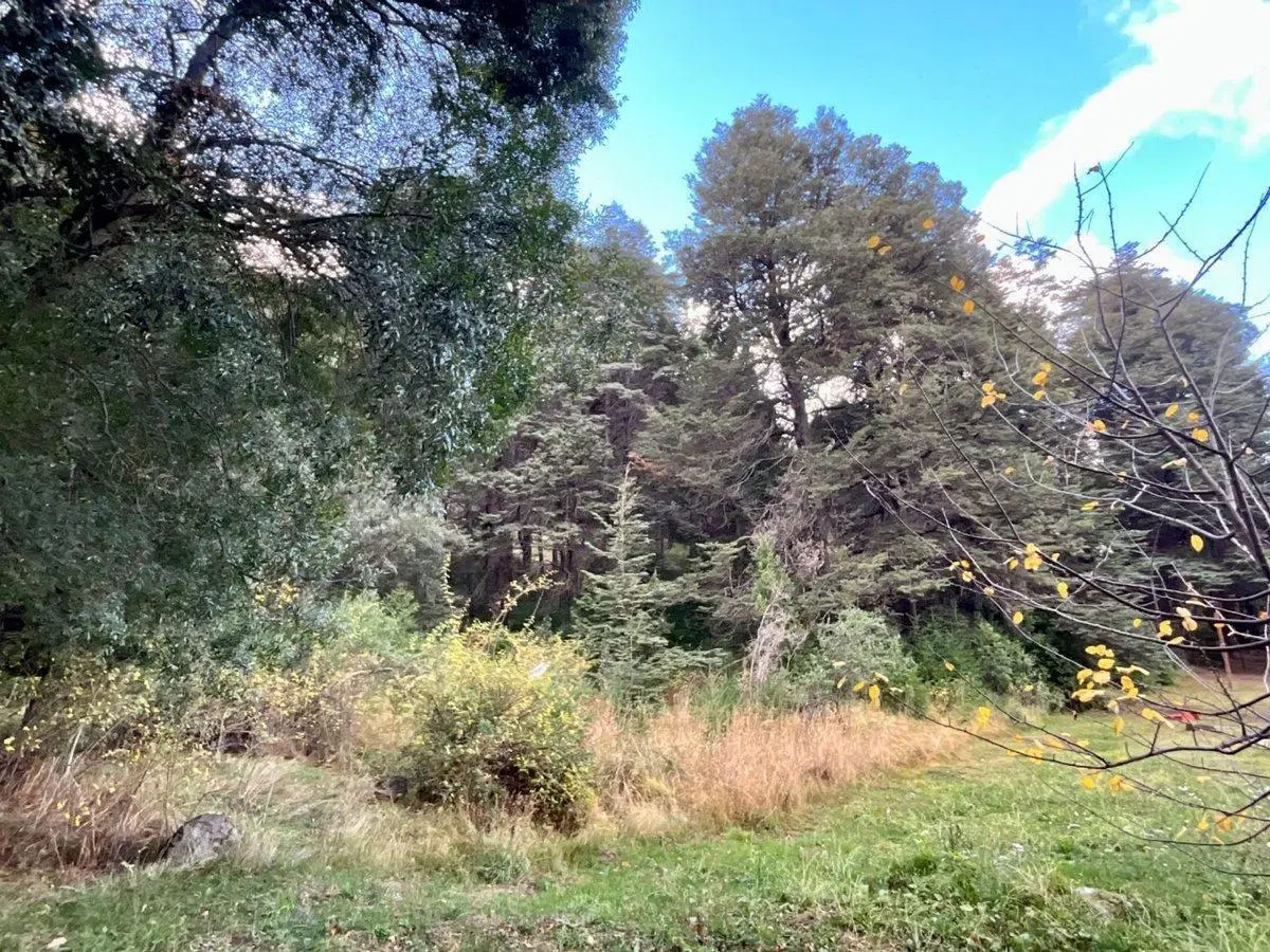 Amplio lote en zona Golf Arelauquen con proyecto 2