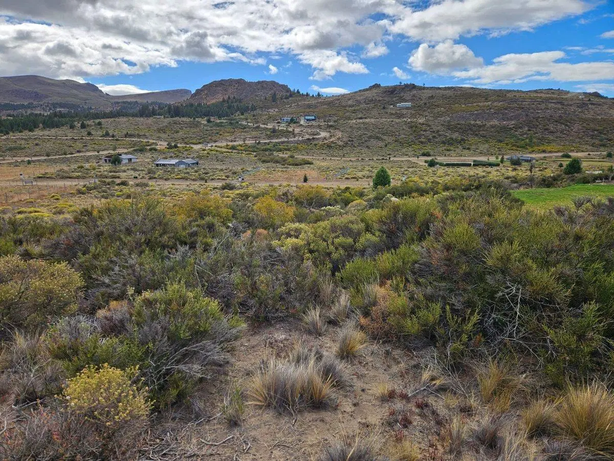 Barrancas de Dina Huapi - Lote 105 5