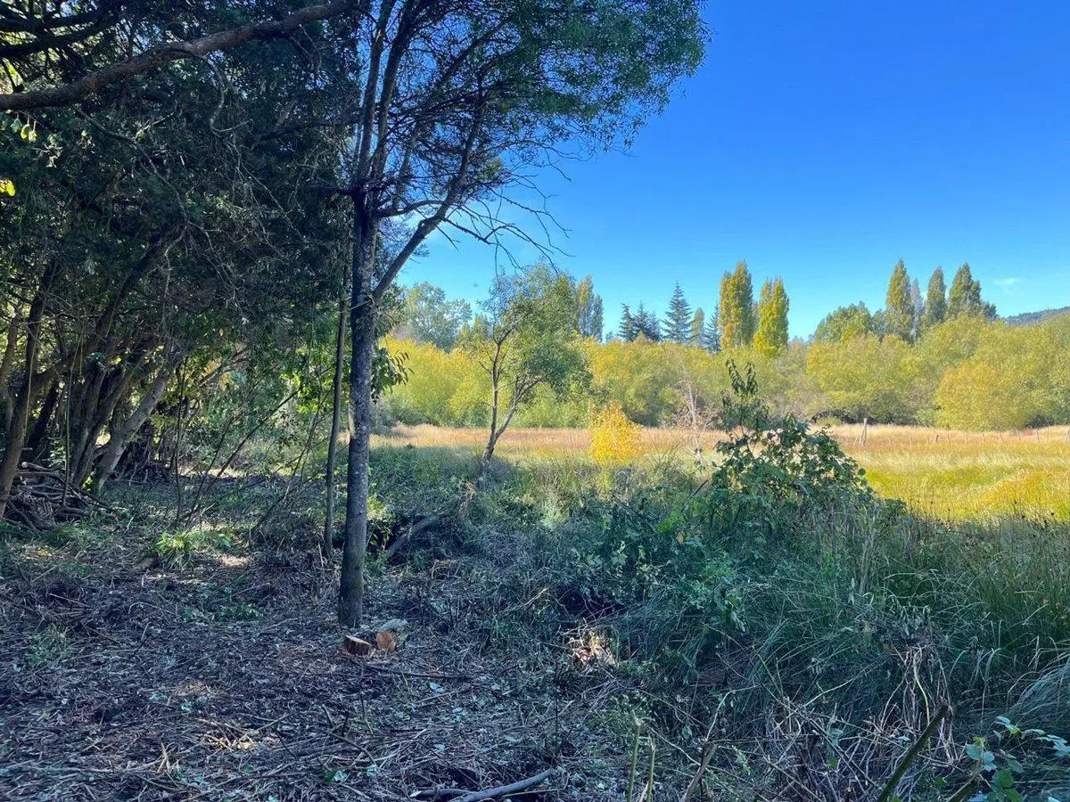 Lote sobre Av Pioneros apto comercial 4773 m2 3