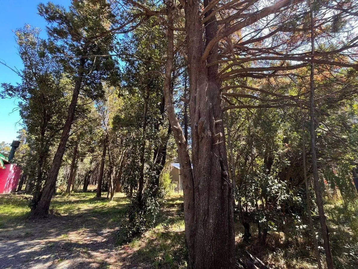 VENTA LOTE PLANO 3