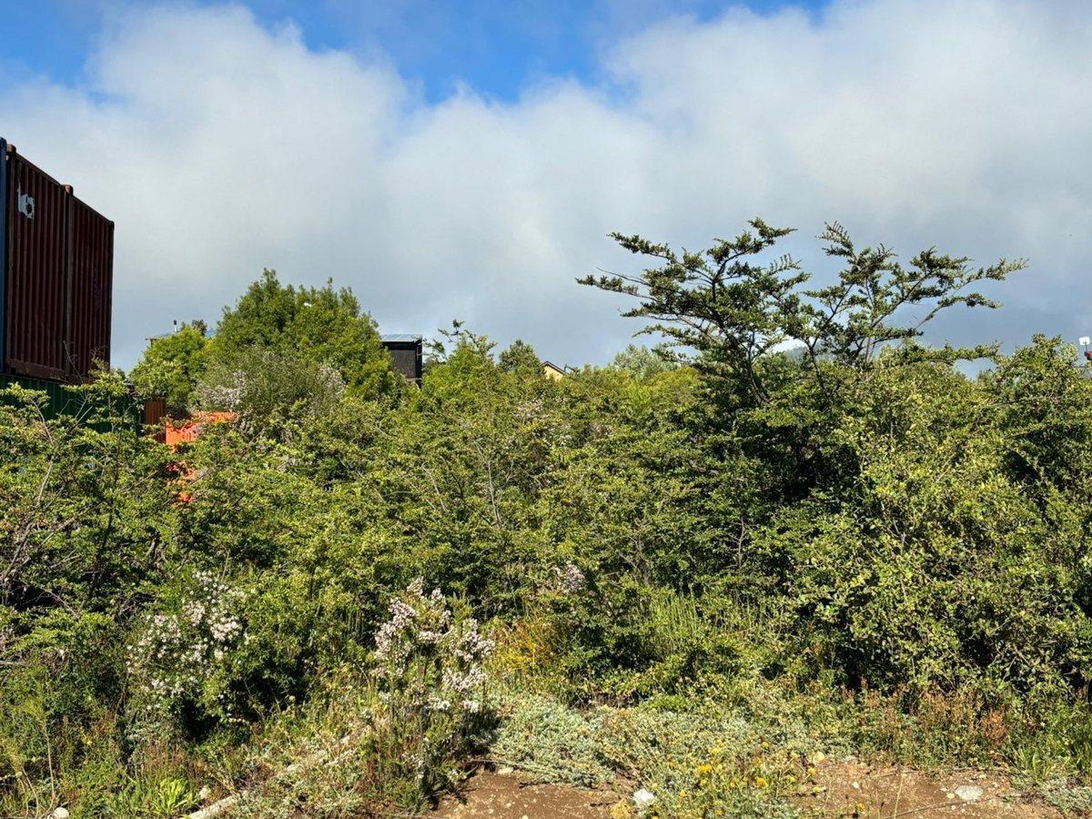 lote 625 M2 Lomas del Cauquen