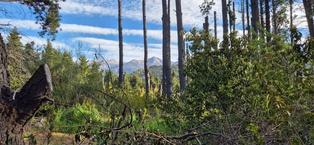 Venta de Lote Av Campanario Peninsula, Bariloche 4