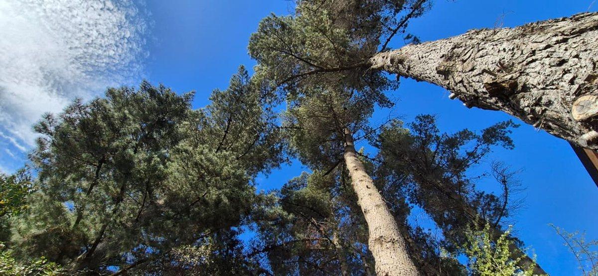 Venta de Lote Av Campanario Peninsula, Bariloche