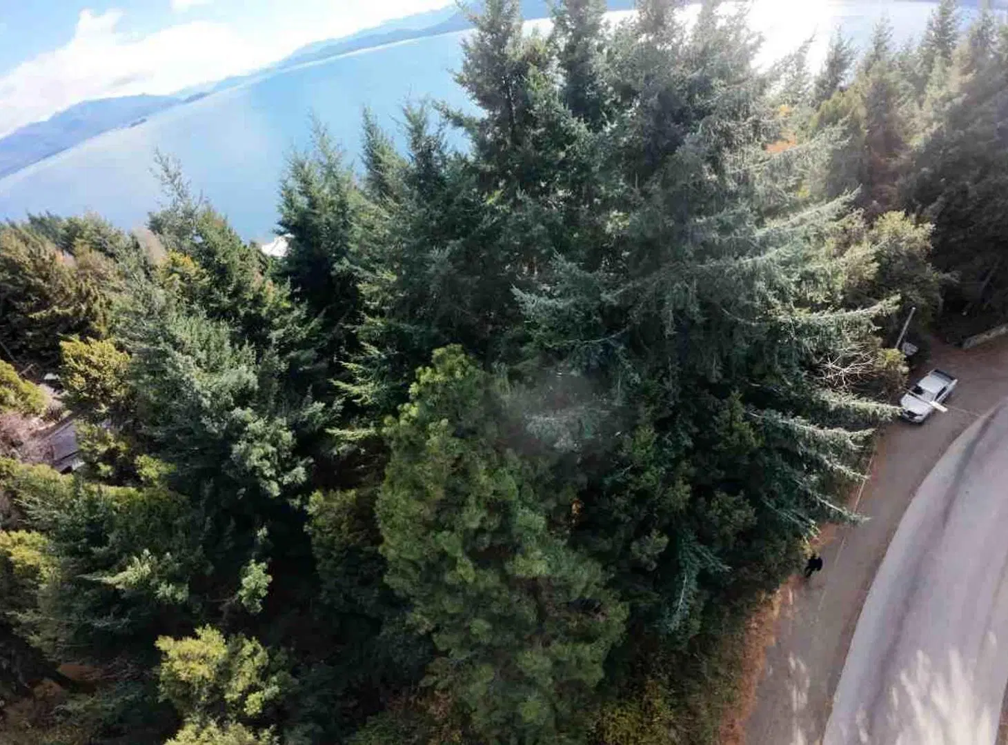 Lote en Venta Llao Llao - Bariloche 3