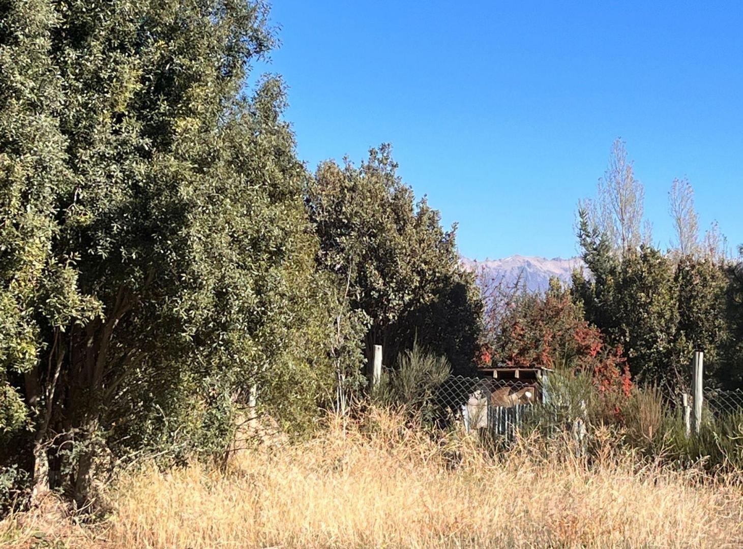 VENTA LOTE SOBRE AV. LAS VICTORIAS