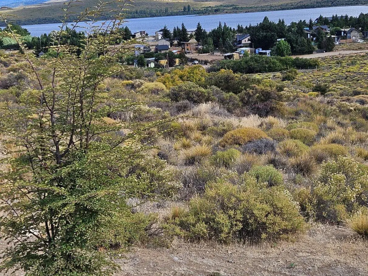 Barrancas de Dina Huapi Lote 81 8